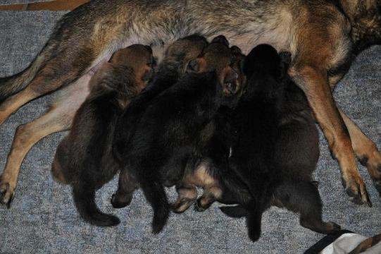 300283_2533944114407_1427671287_32925188_1931422813_n