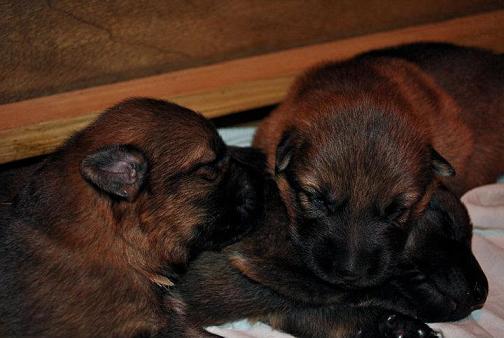 301246_2479678437799_1427671287_32883357_776152131_n