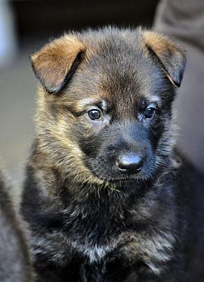 302433_2556299473277_1427671287_32941283_1442237854_n