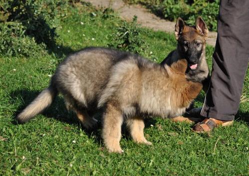 304766_2510956939742_1427671287_32908564_991034628_n