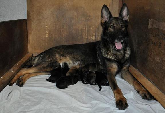 305431_2433075632758_1427671287_32849408_1056813368_n