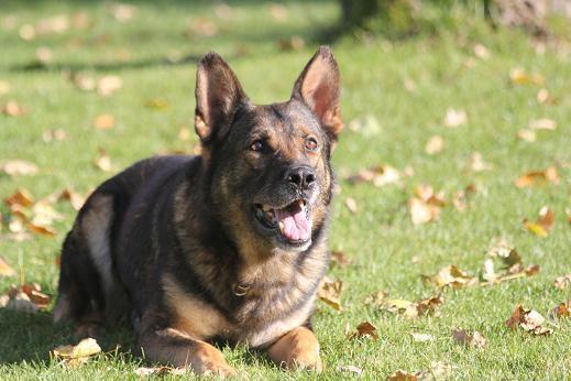 305821_2574255602169_1427671287_32956220_344817088_n 305821_2574255602169_1427671287_32956220_344817088_n