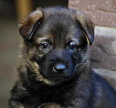 307671_2556303153369_1427671287_32941288_514297517_n