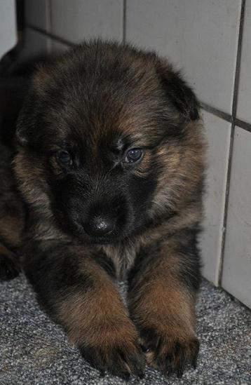 307756_2533941714347_1427671287_32925179_1780614906_n