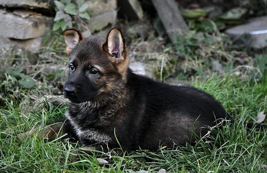 308812_2593334839138_1427671287_32971580_1403763422_n