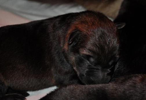 309476_2433073792712_1427671287_32849403_184740853_n