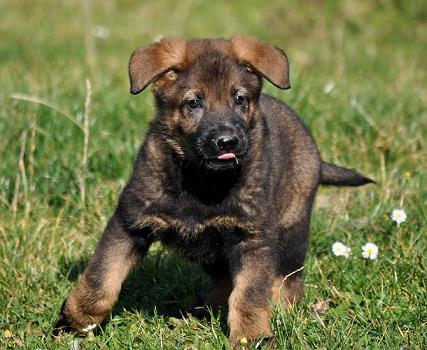 310346_2624561419783_1427671287_32995653_968602651_n