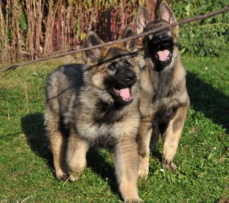 310765_2510957859765_1427671287_32908565_765788280_n