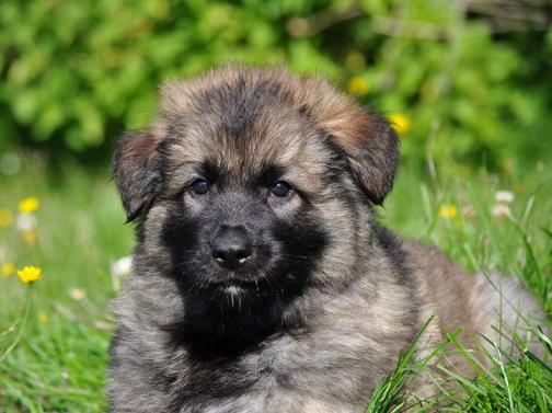 311217_2355036481828_1427671287_32756531_957786_n