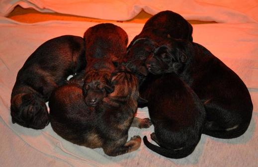 311310_10200152050350479_810838507_n