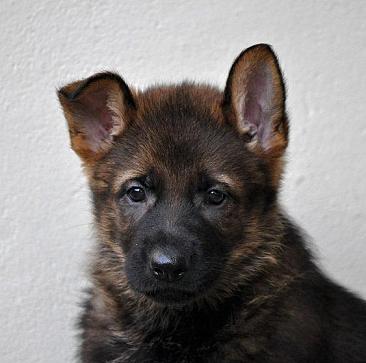 311444_2593336199172_1427671287_32971584_1076699731_n