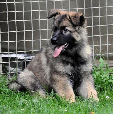 311635_2419658097328_1427671287_32836440_289875469_n