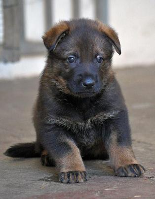 312599_2556308113493_1427671287_32941293_1984878271_n