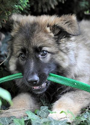 312929_2419658977350_1427671287_32836443_1870554953_n