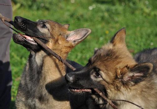 313292_2510958899791_1427671287_32908566_1355908720_n