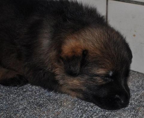 314072_2533942234360_1427671287_32925182_1032643879_n