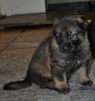 314320_2533940354313_1427671287_32925175_1514962989_n