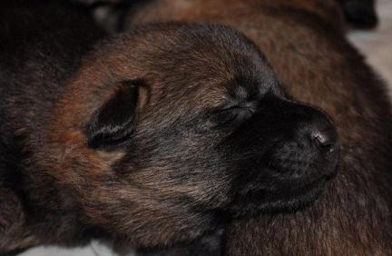 315992_2479679037814_1427671287_32883359_1785353874_n