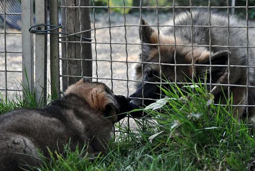 316224_2593335839163_1427671287_32971583_1088564852_n