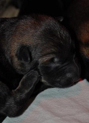 316276_2433074312725_1427671287_32849404_247518356_n