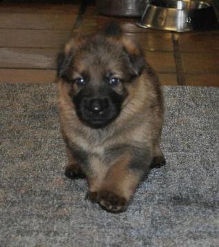 316490_2533943514392_1427671287_32925187_1355671548_n