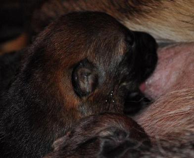 316620_2479653037164_1427671287_32883342_1383487258_n