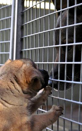 317751_2593334279124_1427671287_32971579_1629689409_n