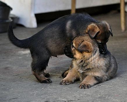 317844_2556309193520_1427671287_32941295_1737889015_n