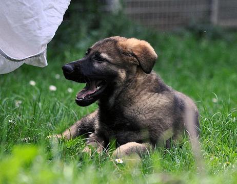 318318_2419658537339_1427671287_32836441_2052593512_n