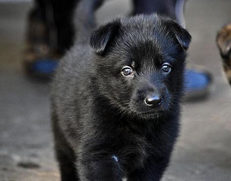 318494_2556307273472_1427671287_32941292_1609770456_n