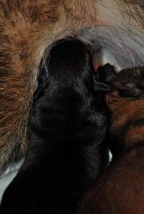 318954_2433074832738_1427671287_32849406_1795502815_n