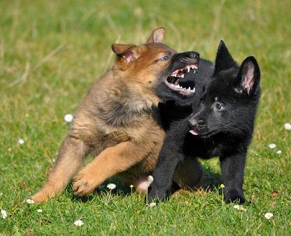 319126_2624558939721_1427671287_32995648_1930378527_n