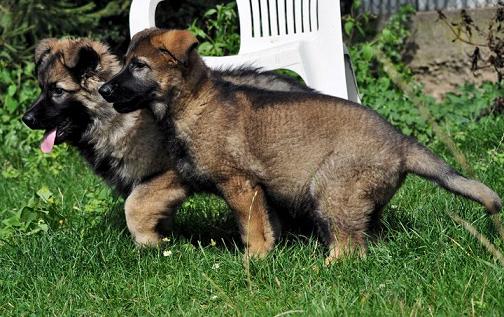 321016_2419657457312_1427671287_32836437_379681532_n