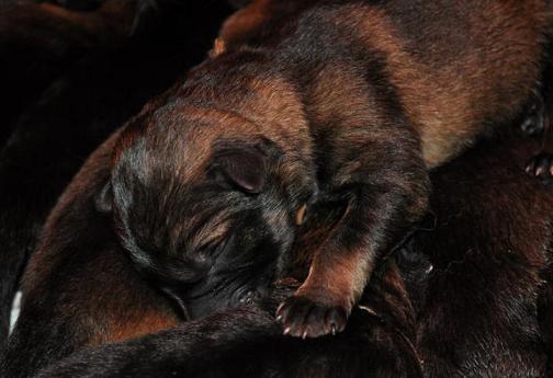 321473_2433075232748_1427671287_32849407_1997753722_n