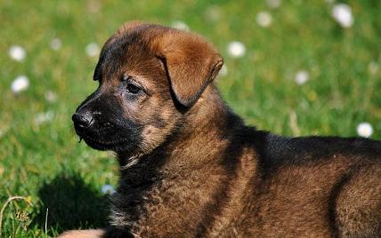 386210_2624562019798_1427671287_32995654_412553034_n