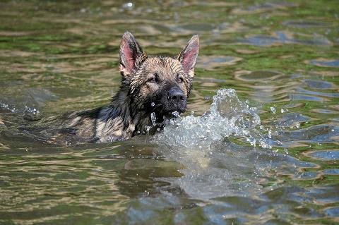 389584_3919098742407_1427671287_33542567_417542978_n