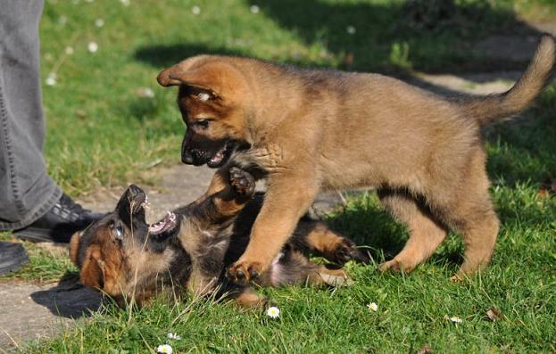 389598_2624563979847_1427671287_32995659_874404714_n