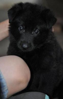 391395_4481850090839_358860097_n