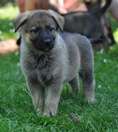 394350_4559752718356_616496795_n