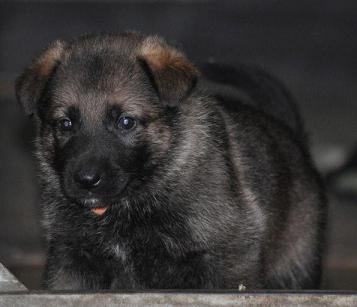 394573_4481850810857_494023870_n