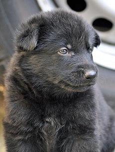 399543_4447610114861_192860152_n