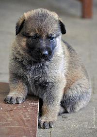 409642_4447609274840_1655647591_n