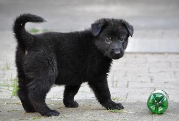 418387_4506475266453_1087509256_n