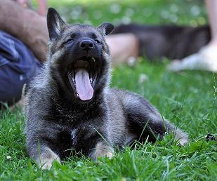 418816_4559752118341_1524576589_n