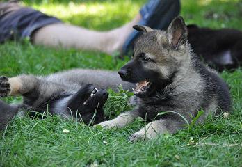 420097_4559753358372_911485877_n