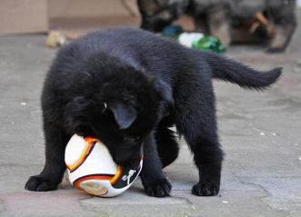 424306_4506474106424_864663473_n