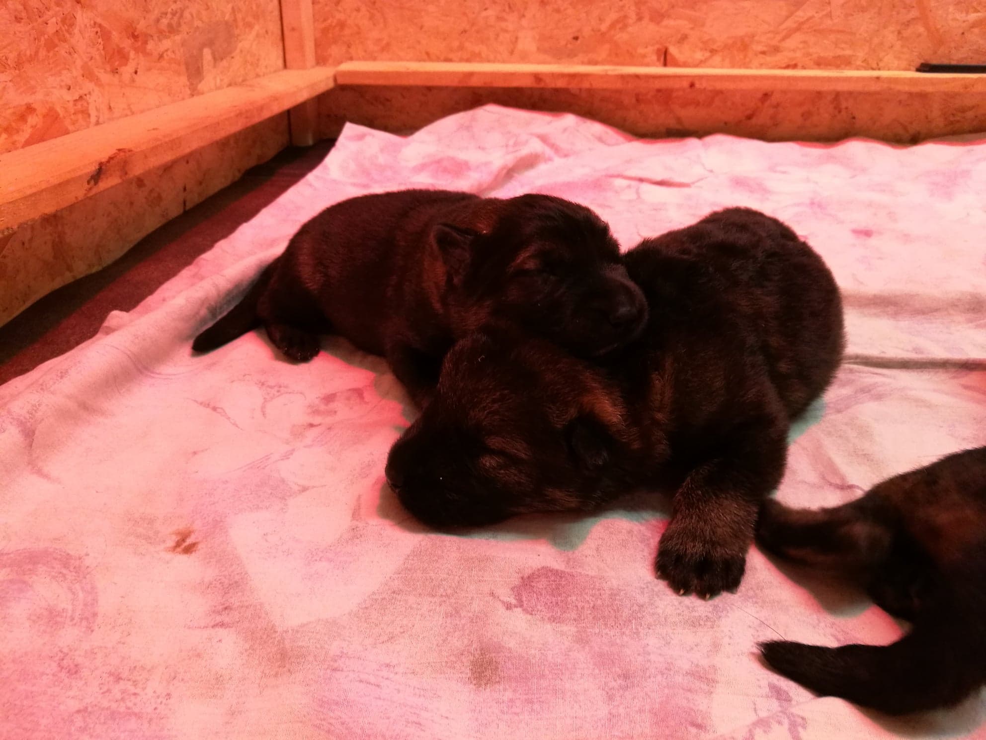 42647559_298282210970196_3001574294657433600_n