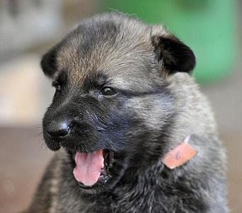 428818_4447609114836_550558571_n