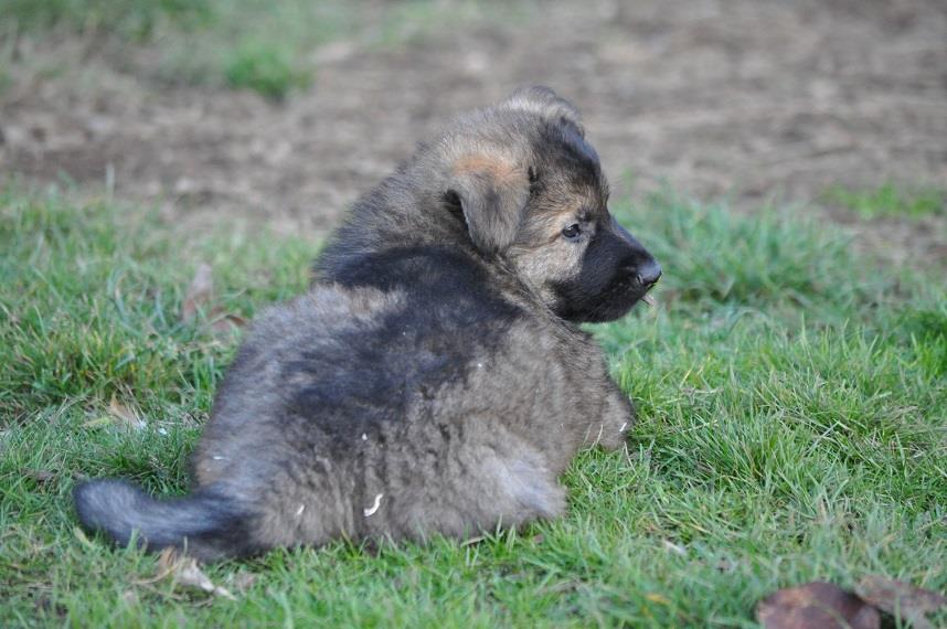 45621145_2108889385798632_1170646615594106880_n