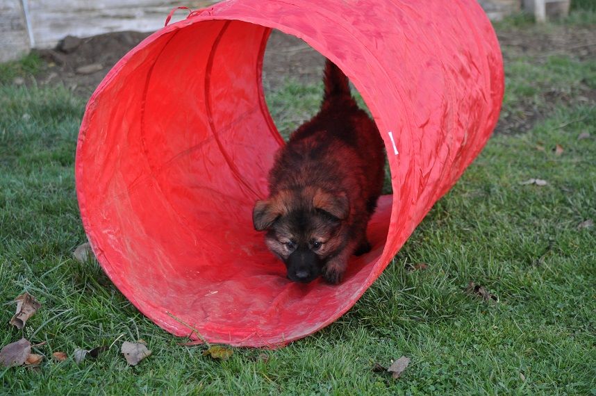 45685759_2108889489131955_5780430487495376896_n